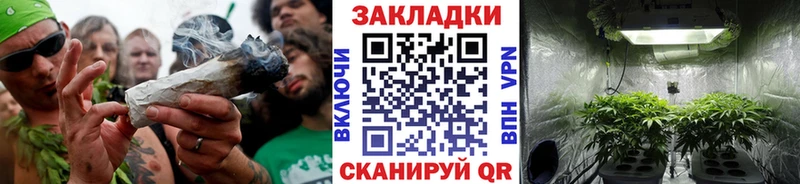 Канабис Белёв