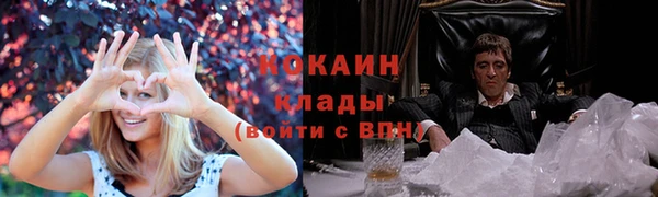 сатива Баксан