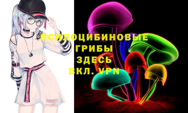 сатива Баксан