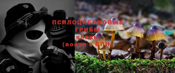 сатива Баксан