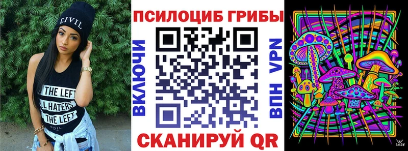 Галлюциногенные грибы Cubensis  где найти   Белёв 
